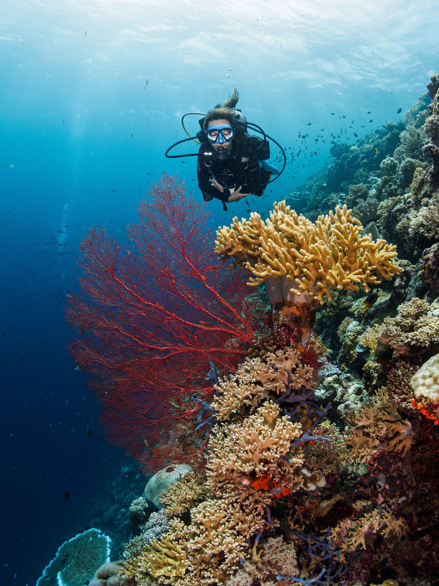 2020 06 03 Wakatobi 0094 copy